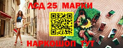 Альфа ПВП Кингисепп