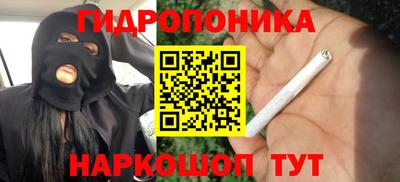 Альфа ПВП Кингисепп