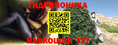 Альфа ПВП Кингисепп