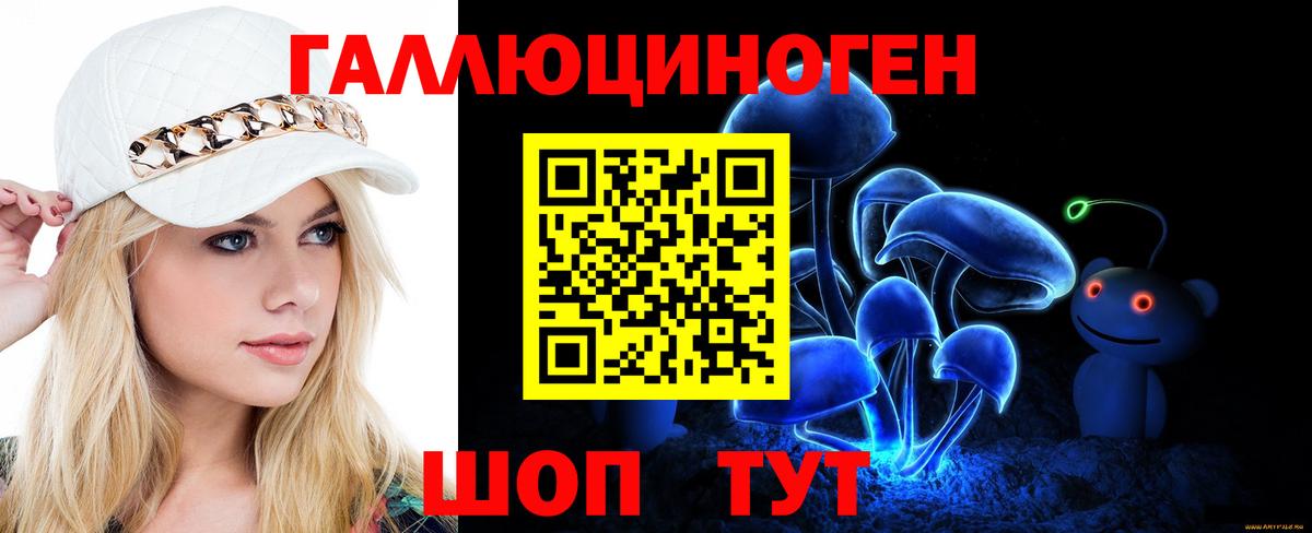 Черемхово  Псилоцибиновые грибы Psilocybine cubensis  Вход с VPN 