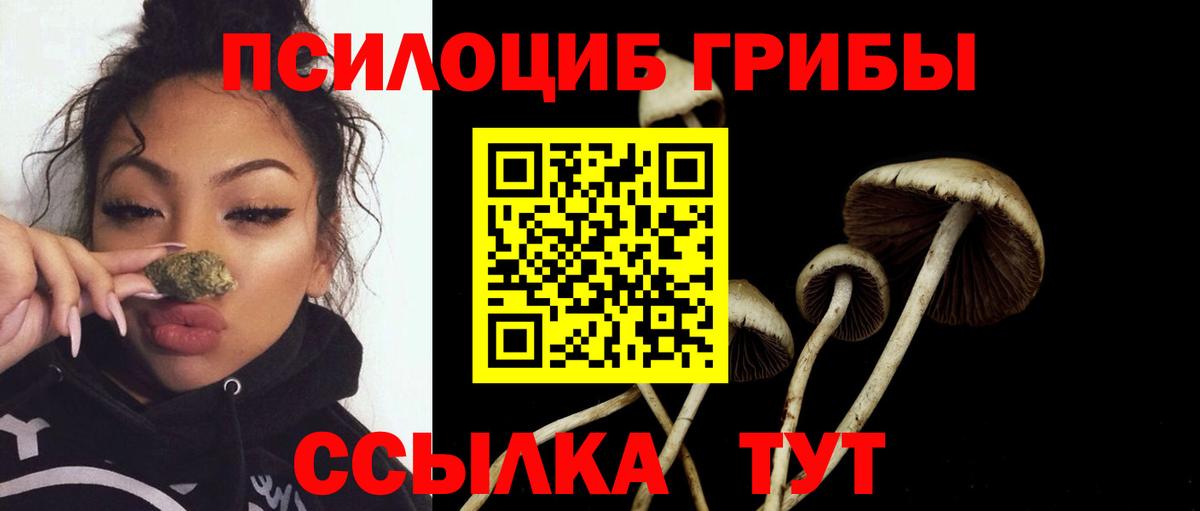 Псилоцибиновые грибы Cubensis Черемхово