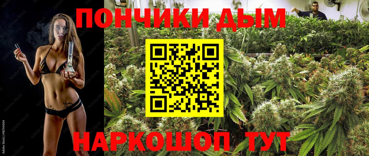 Бошки Шишки семена  Бошки марихуана OG Kush  Каннабис тримм  МАРИХУАНА MAZAR  Черемхово  Вход с VPN 